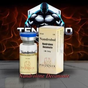 NandroBol NandroBol