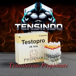 Testopro Testopro